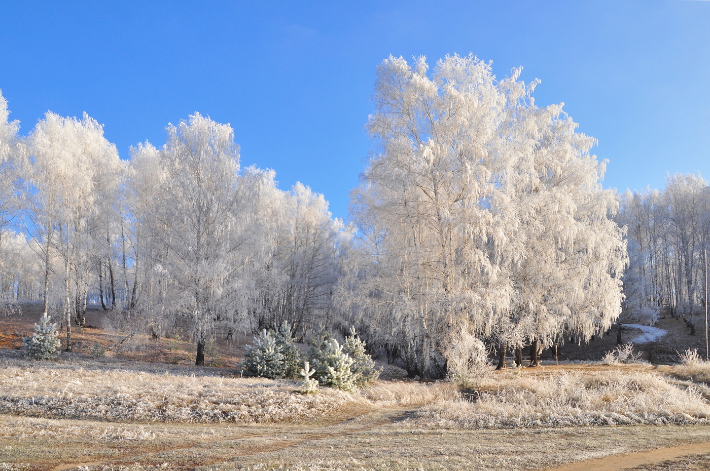 Принарядились.
