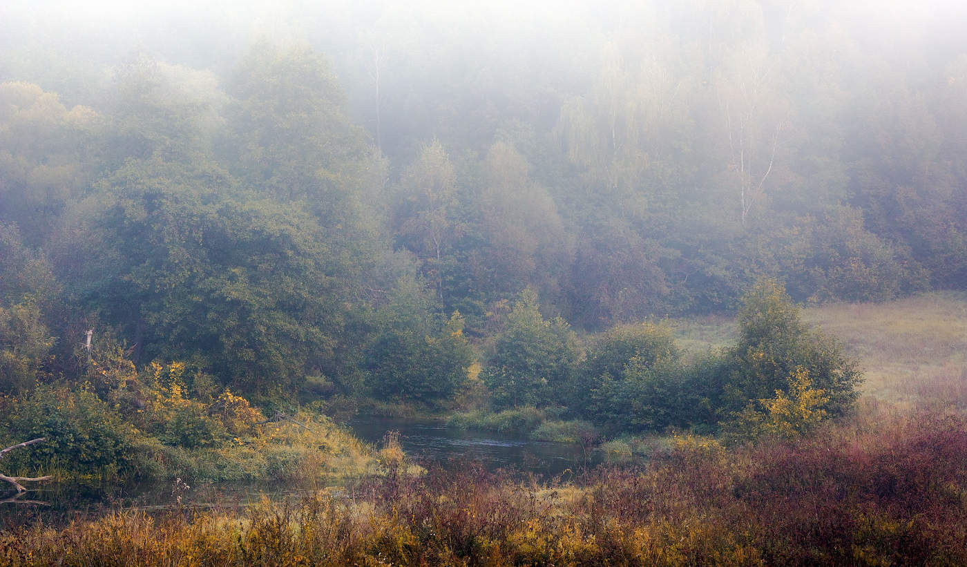 Осени неслышные шаги