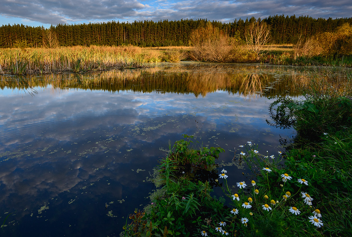 Начало осени...