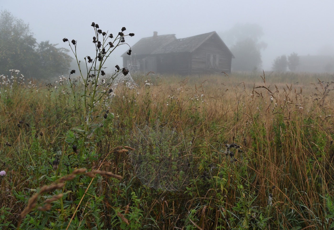 Хорошо иметь домик в деревне ...