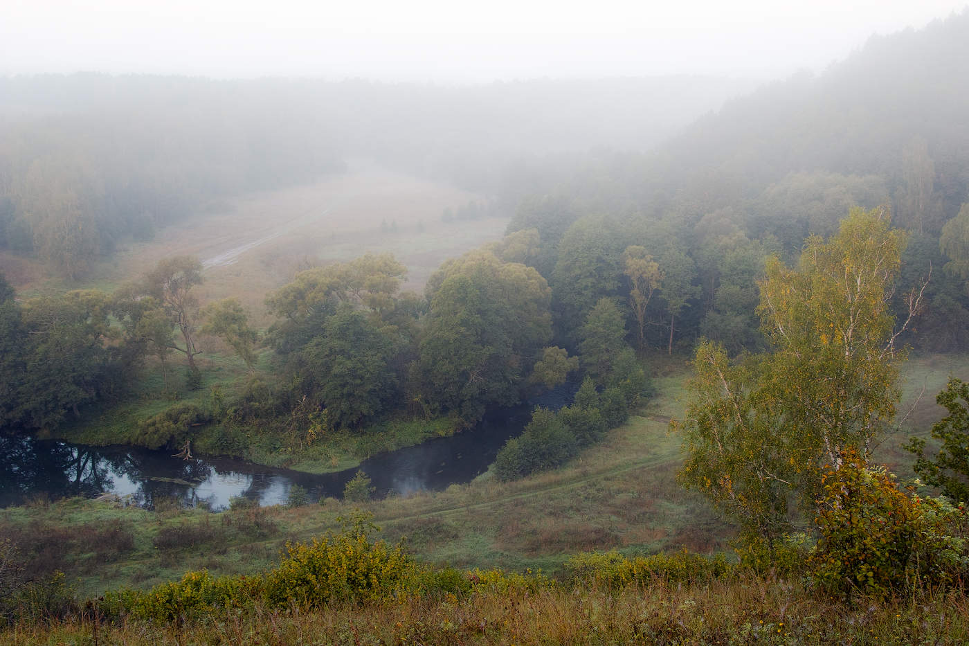 Уходящая в туман река