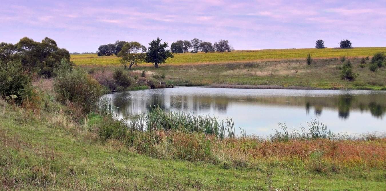 Начало осеннего дня