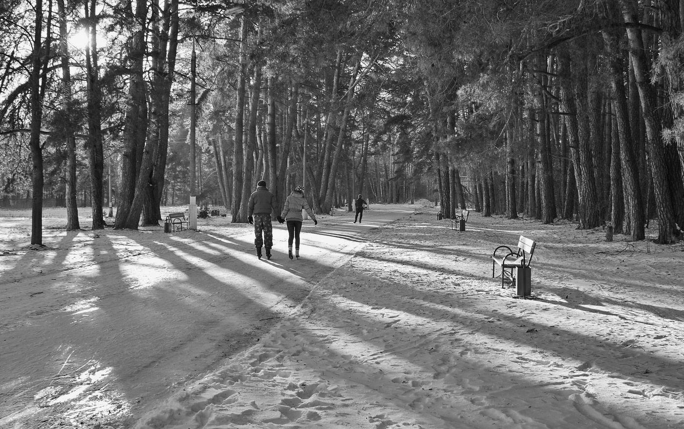 монохромные зарисовки