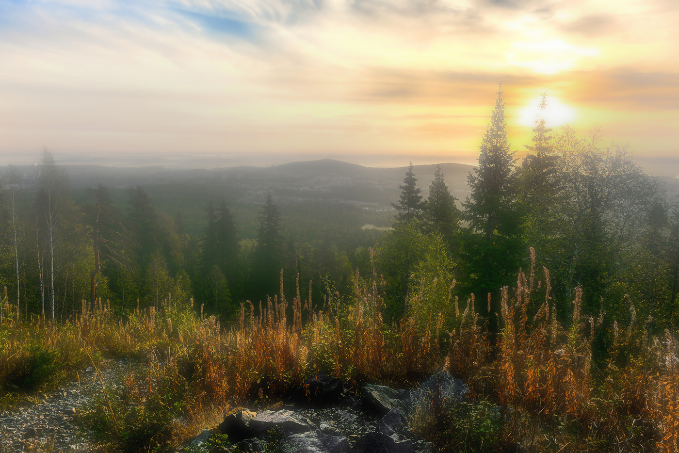 Утренний туман