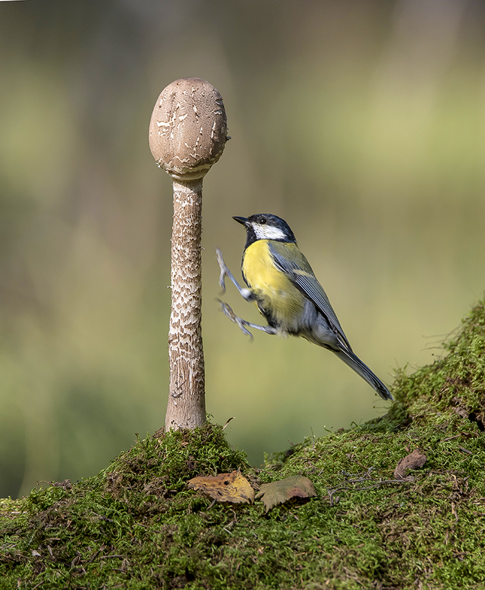 Ещё из паркура...