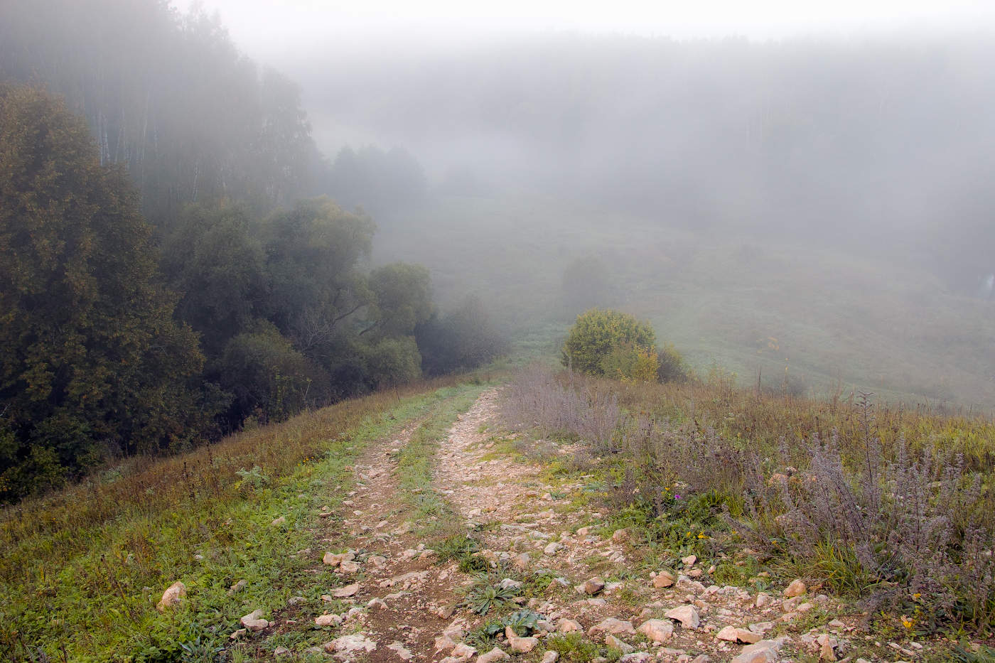 Каменистая дорога