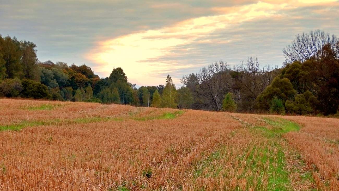 Не лунная дорожка