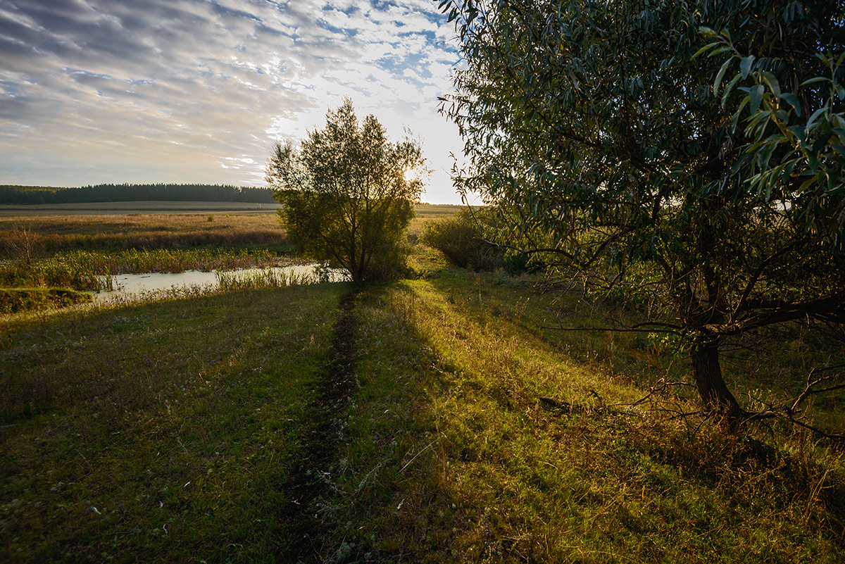Не лунная дорожка