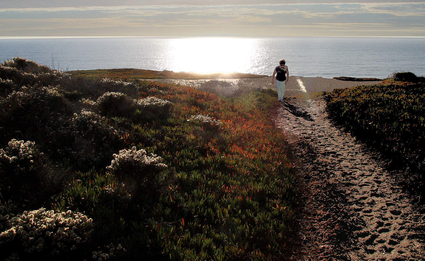 Дорожка к океану