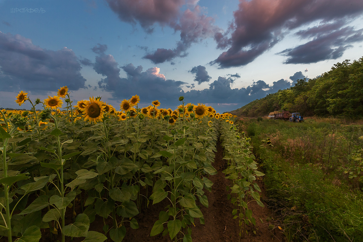 После заката