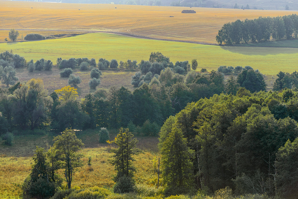 Поля, леса и реки...