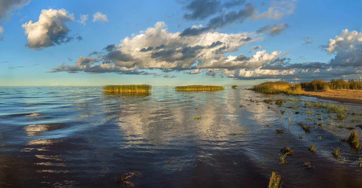Юго-западный берег Ладожского озера.