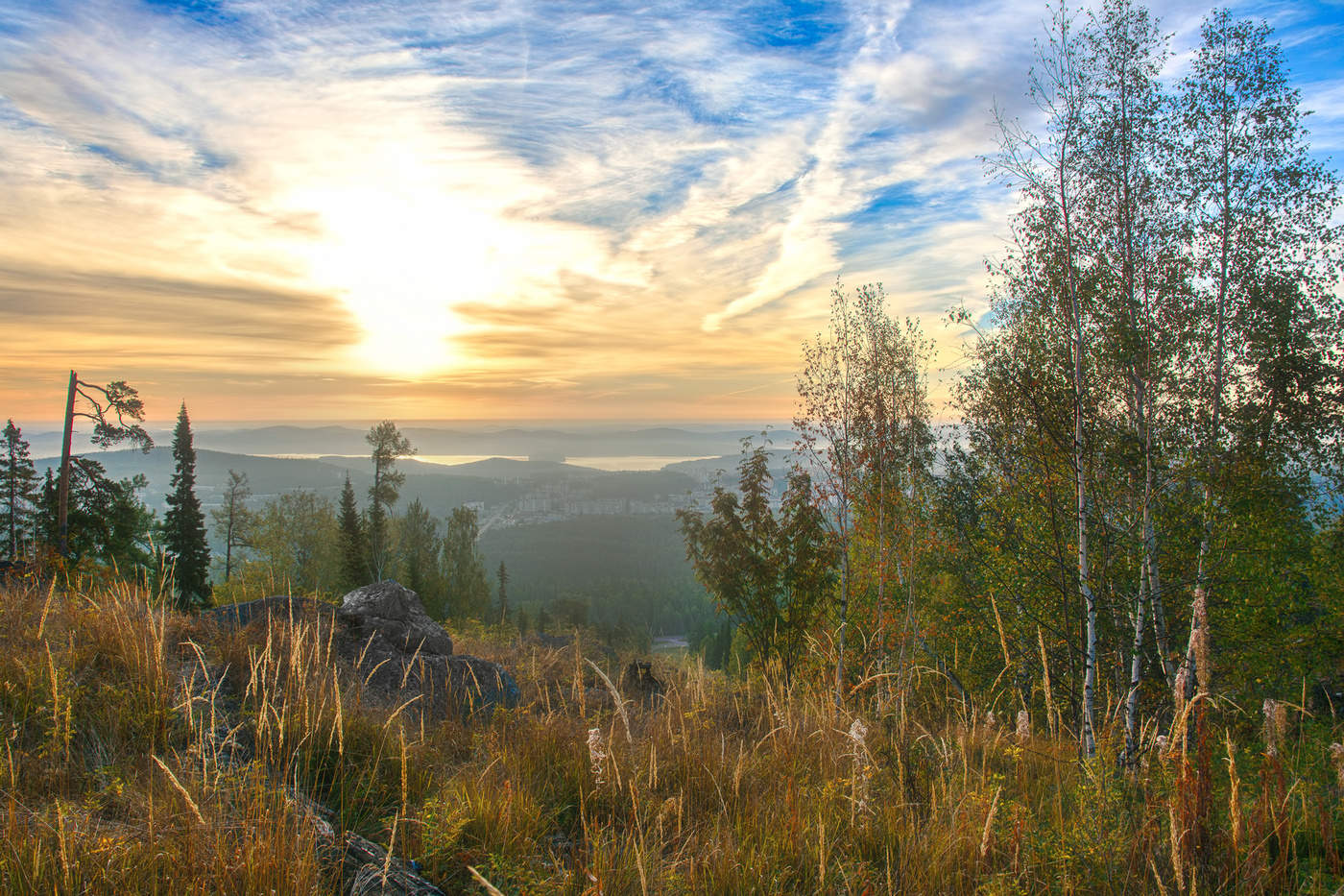 Осенние травы