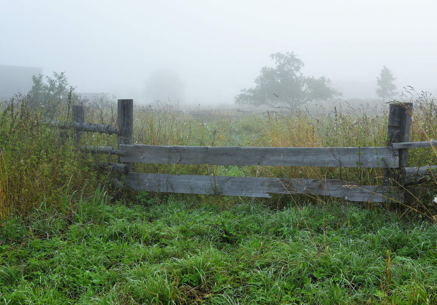 Утро с туманным настроением ...