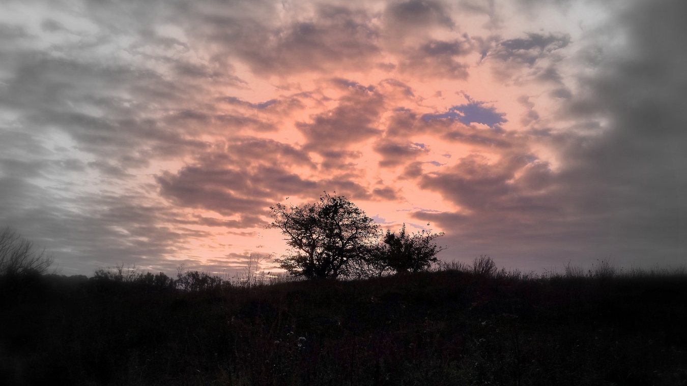 Предрассветные сумерки