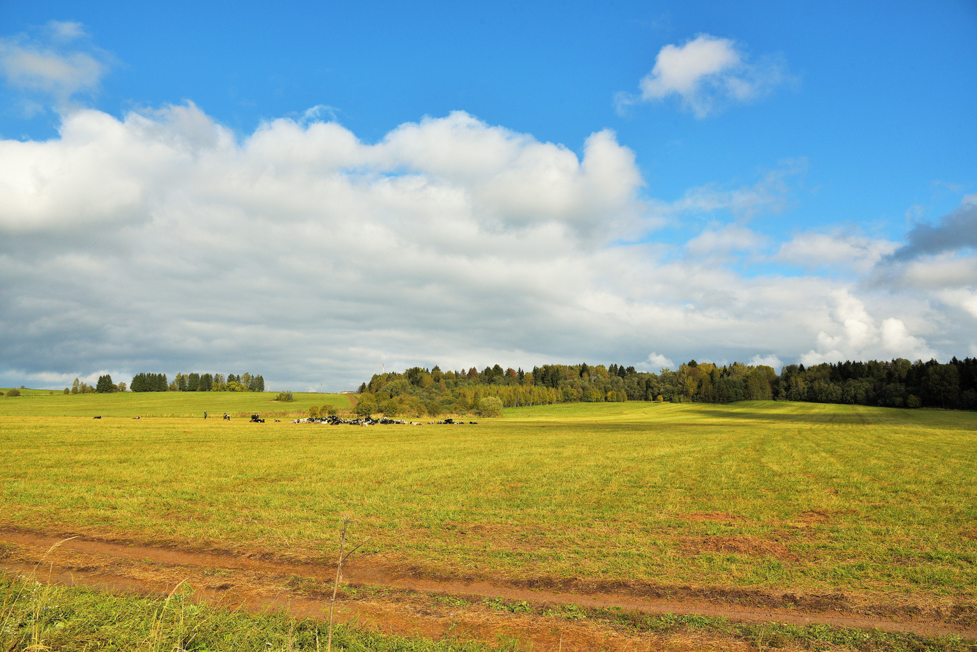 Погодистый денек ...