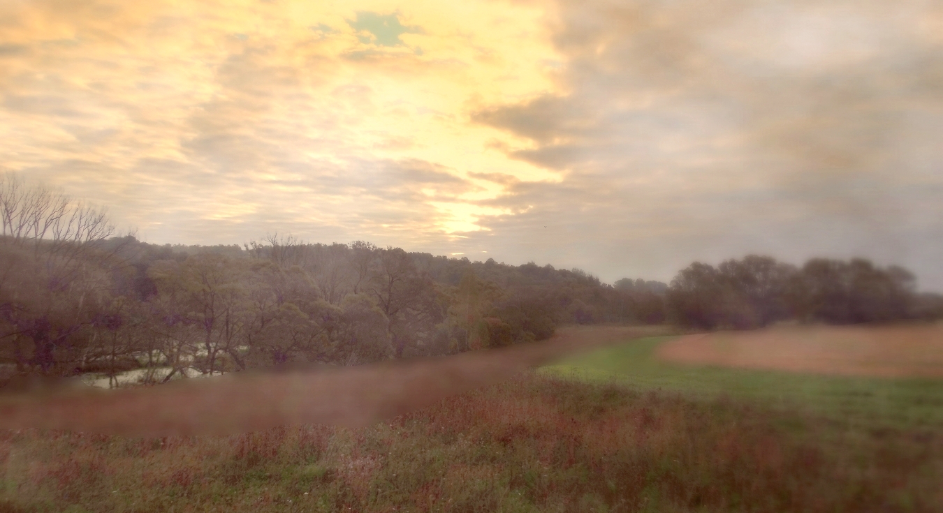 Утренний туман