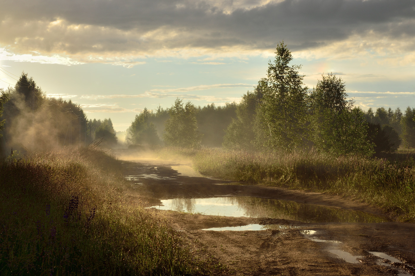 после дождя