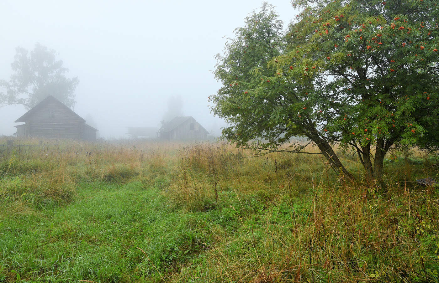 Утро с привкусом осени ...