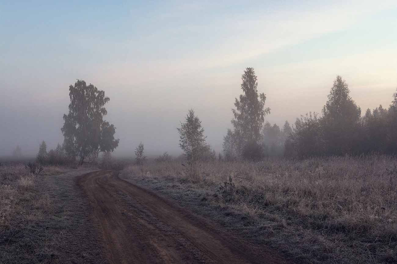 Холодным утром.
