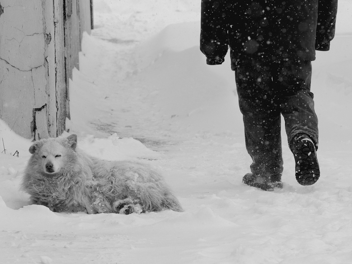 Одиночество - холод...