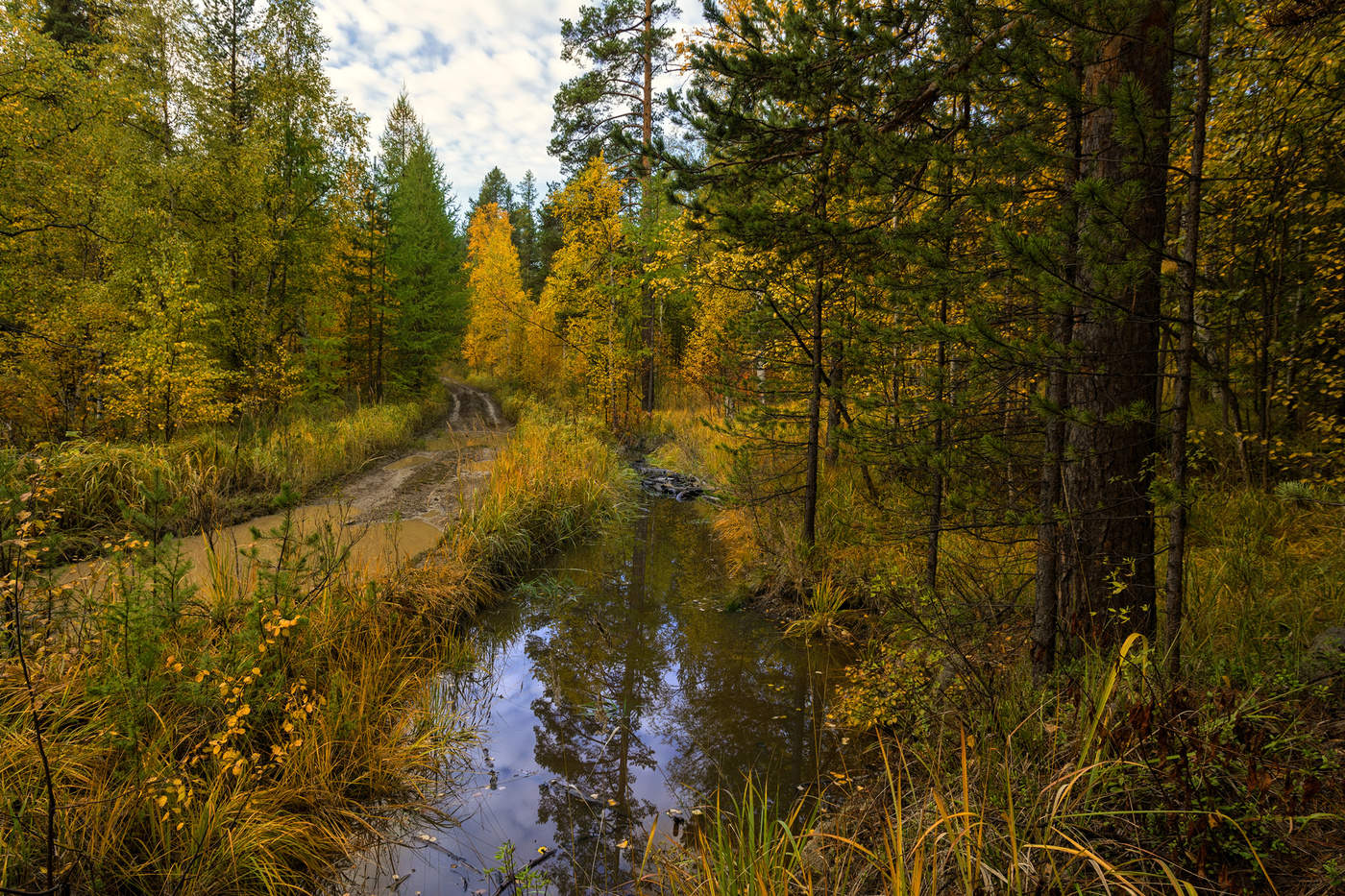 Осенний этюд