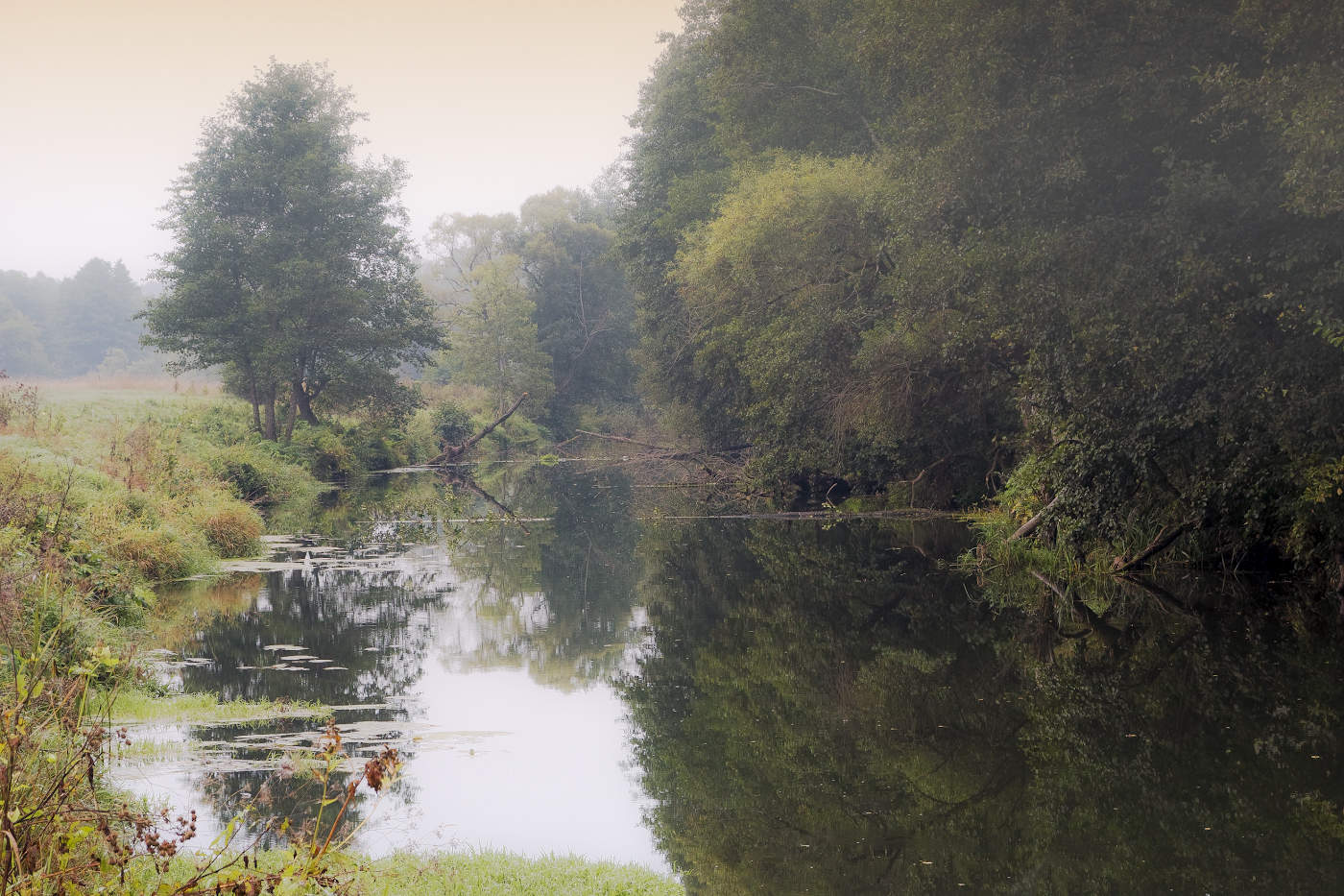 Тихая заводь