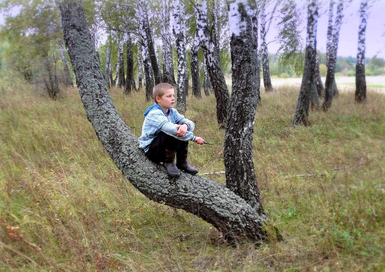 Где же грибы?