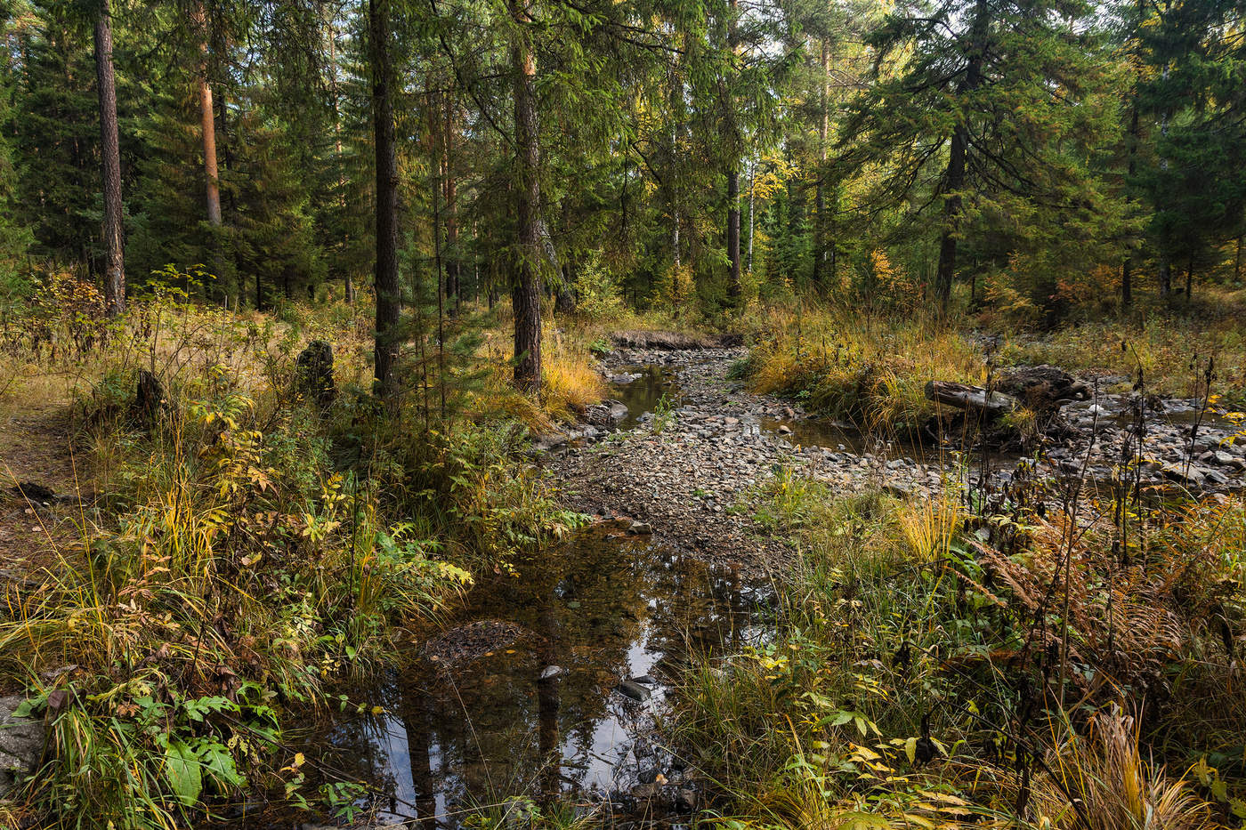 Осеннее разноцветье