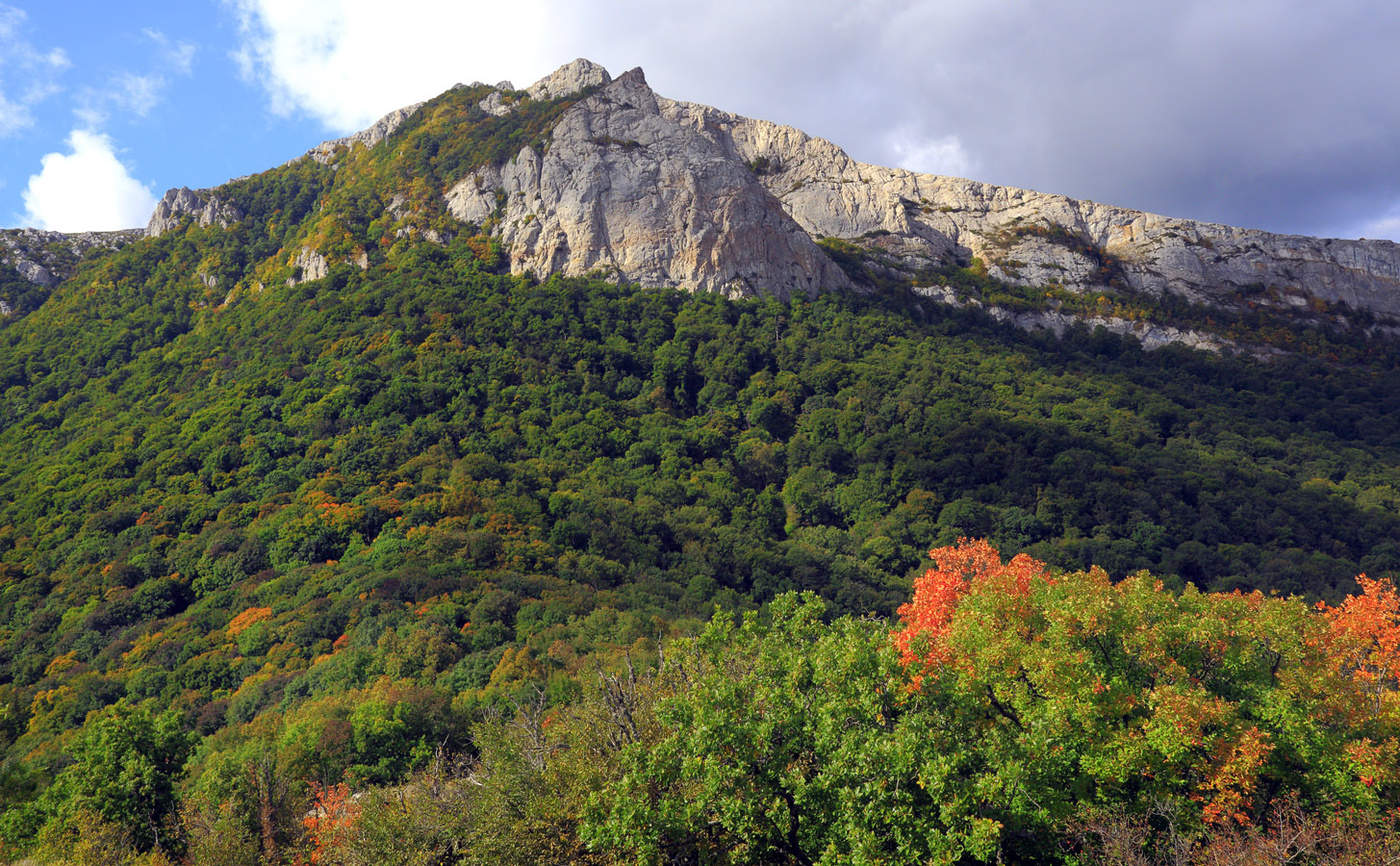 Первые звонки осени