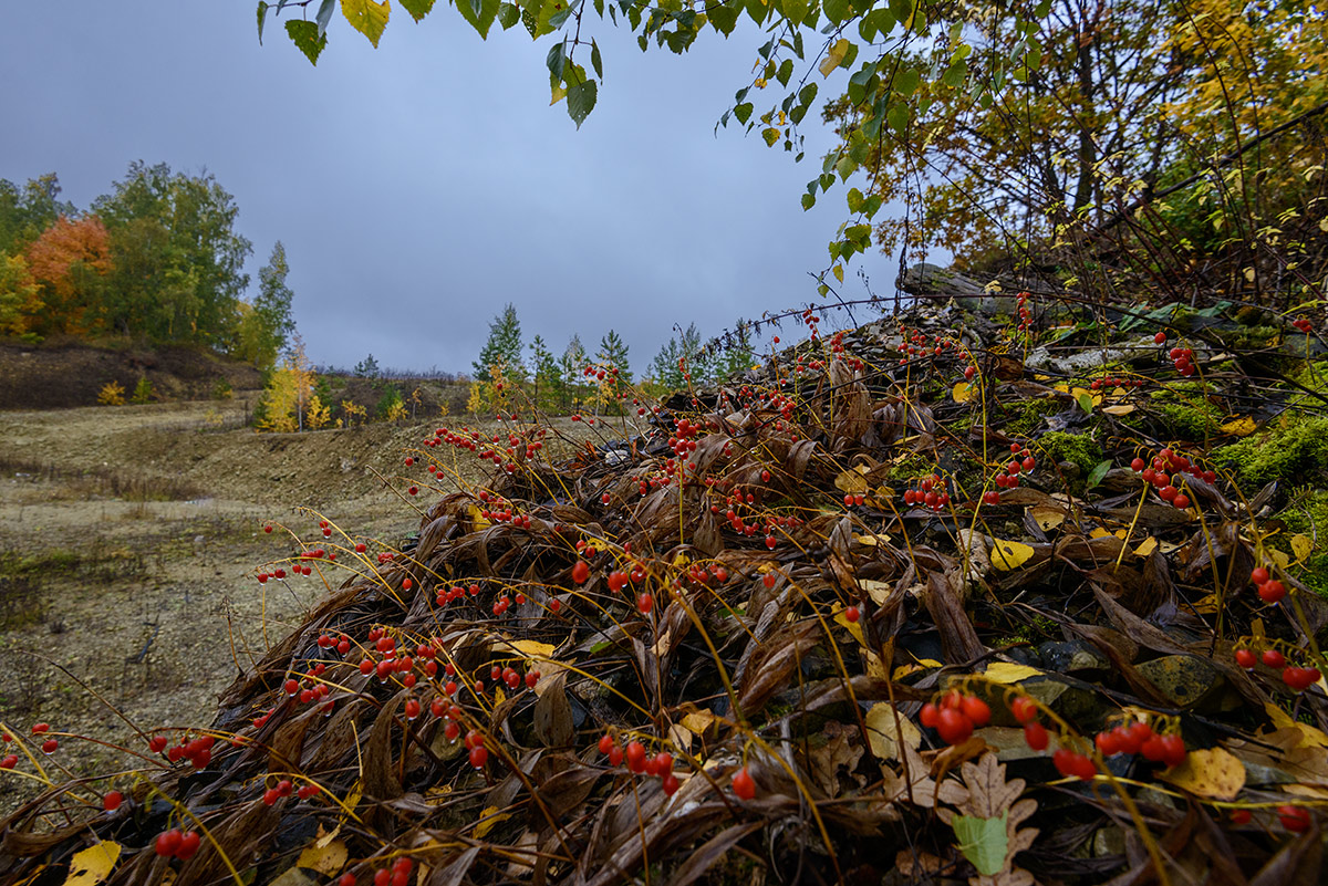 Осенне-дождливая...