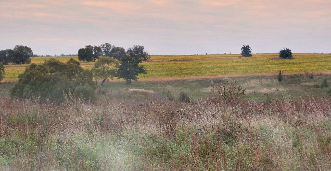 Утро осеннее