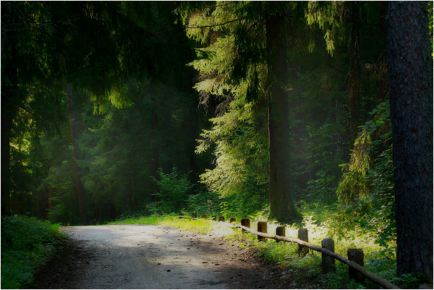 Свет и тени