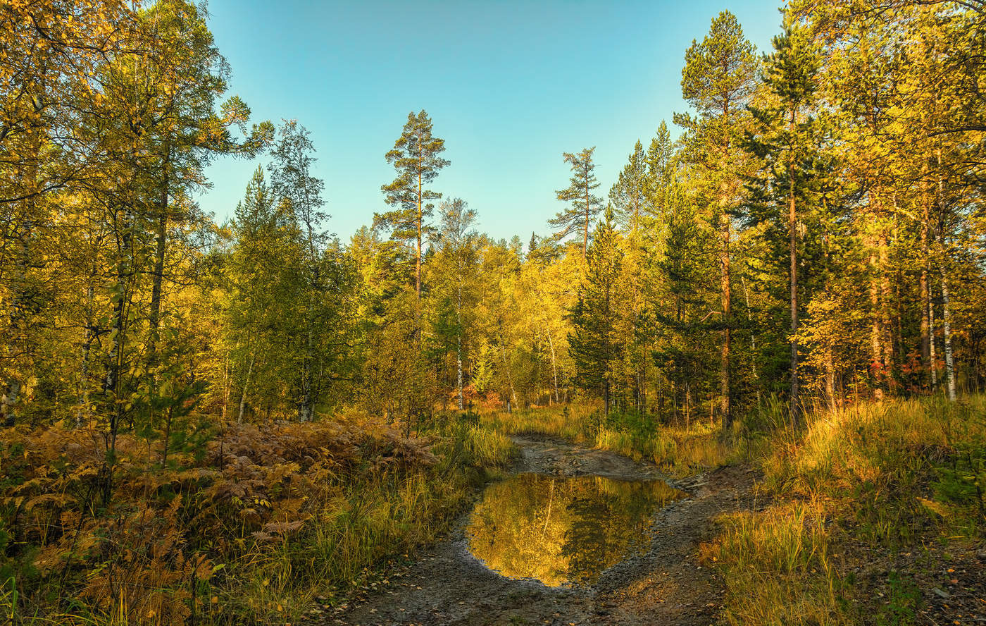 Золотая осень