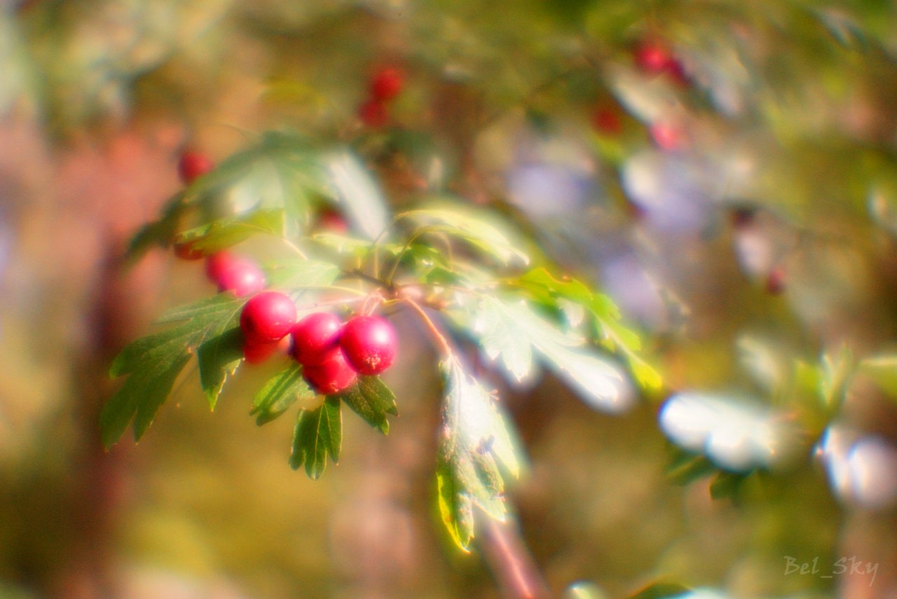 сентябрьская акварелька