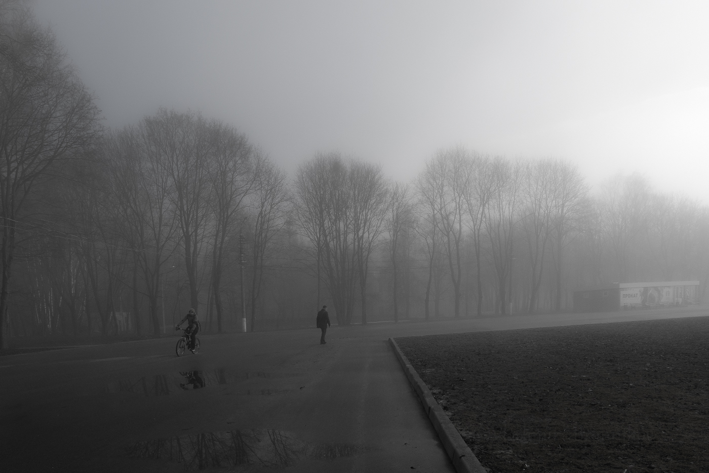 Жизнь в монохороме