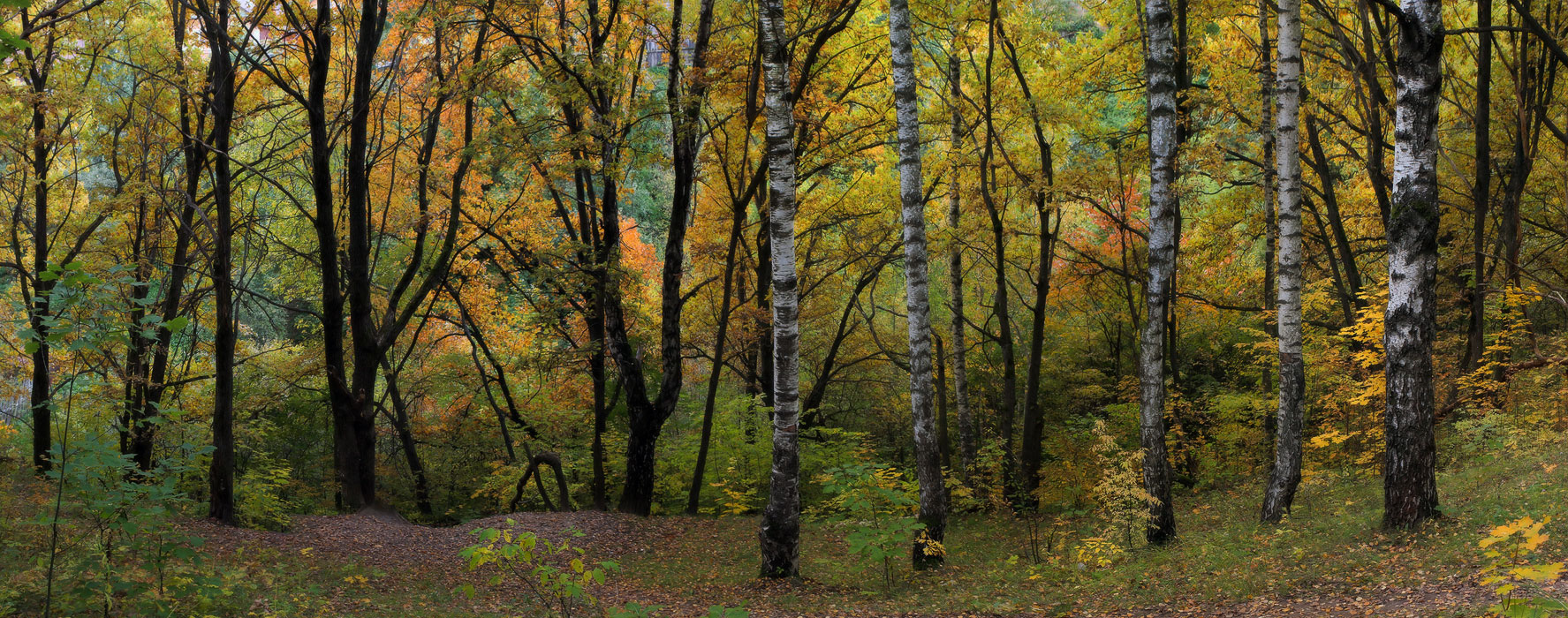 Вечер. Парк.
