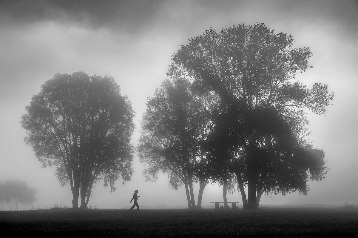 Жизнь в монохороме