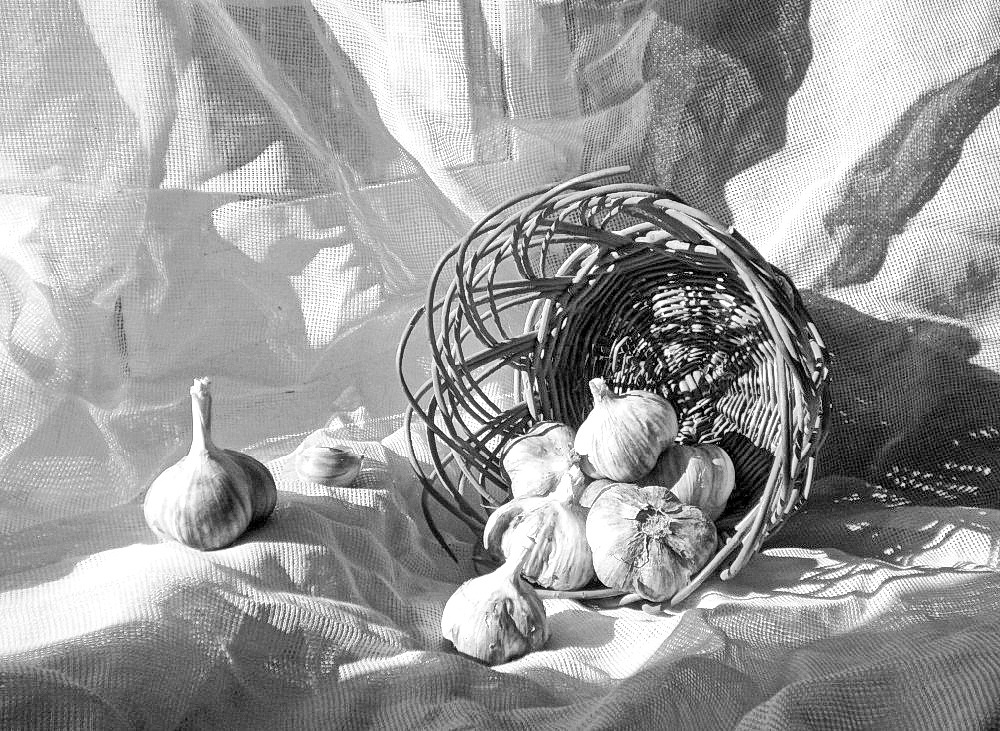 Жизнь в монохороме