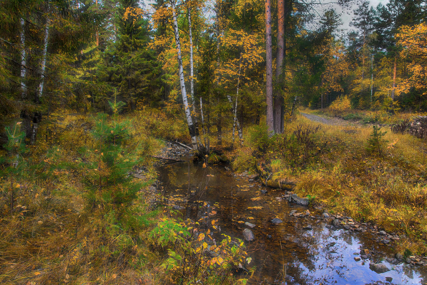 Пора листопада