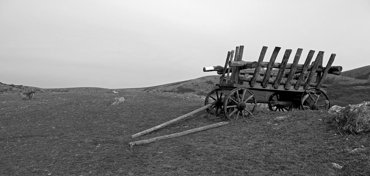 Жизнь в монохороме