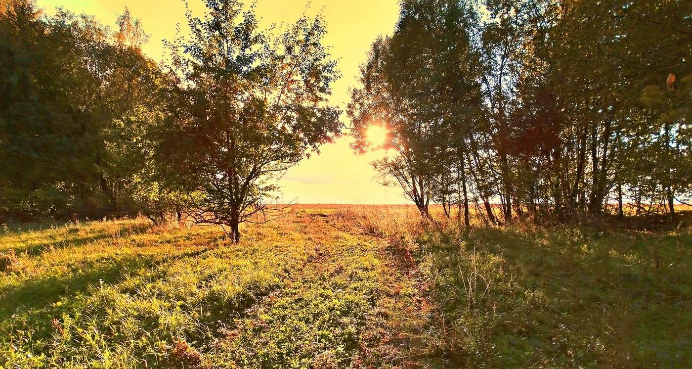 Вечернее солнце