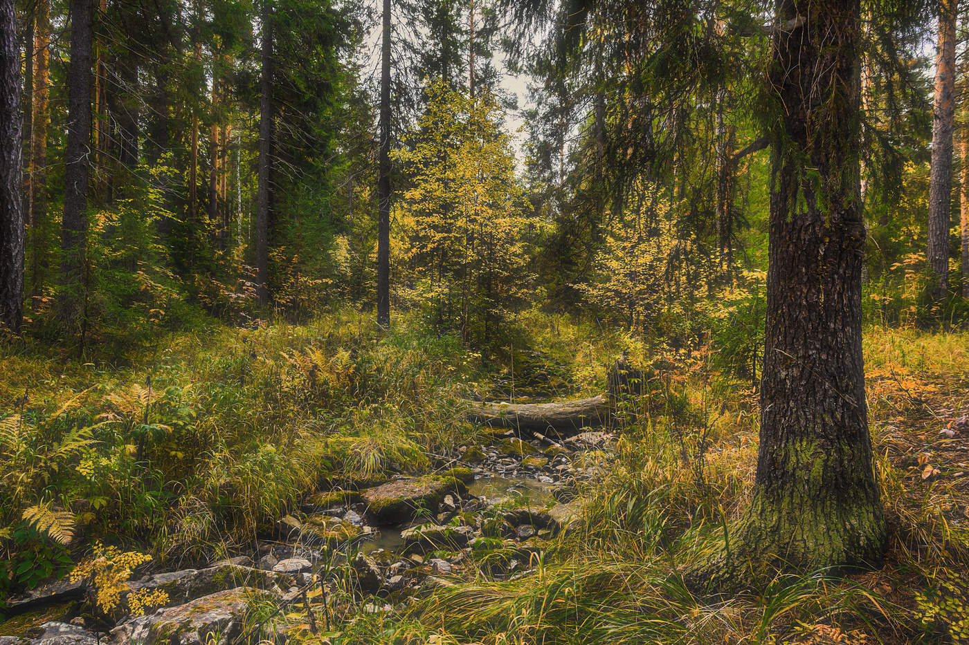 Сентябрь наступил