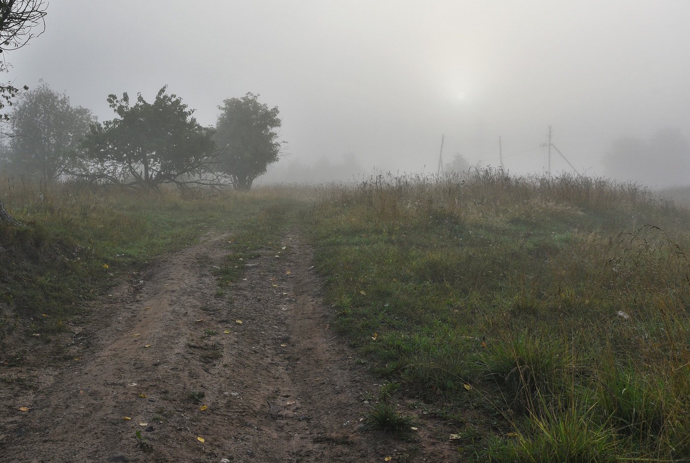 Туманный восход ...