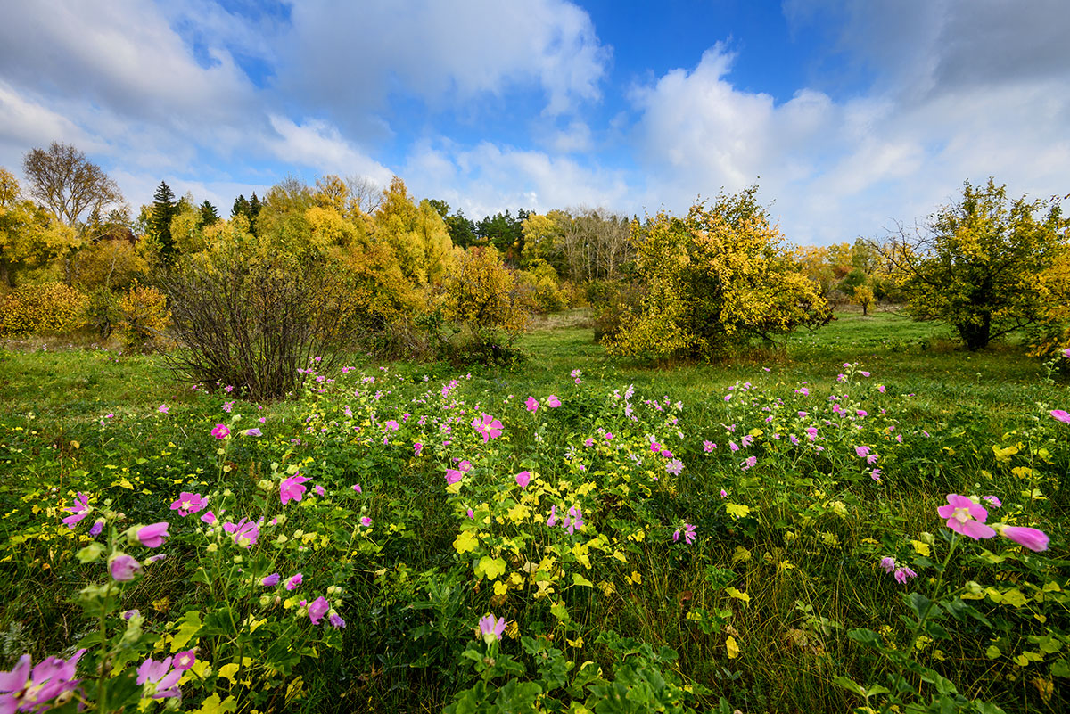 Межсезонье...