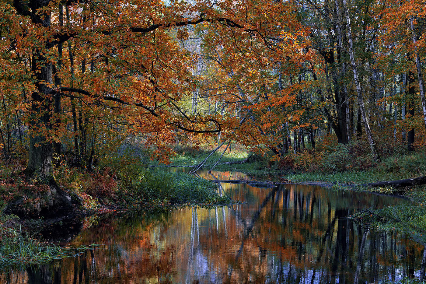 Мы вечные странники в странном лесу ощущений....