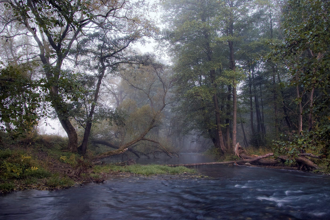 Осенняя река,туманные берега