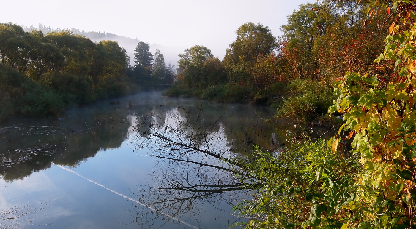 Мост затерялся в тумане