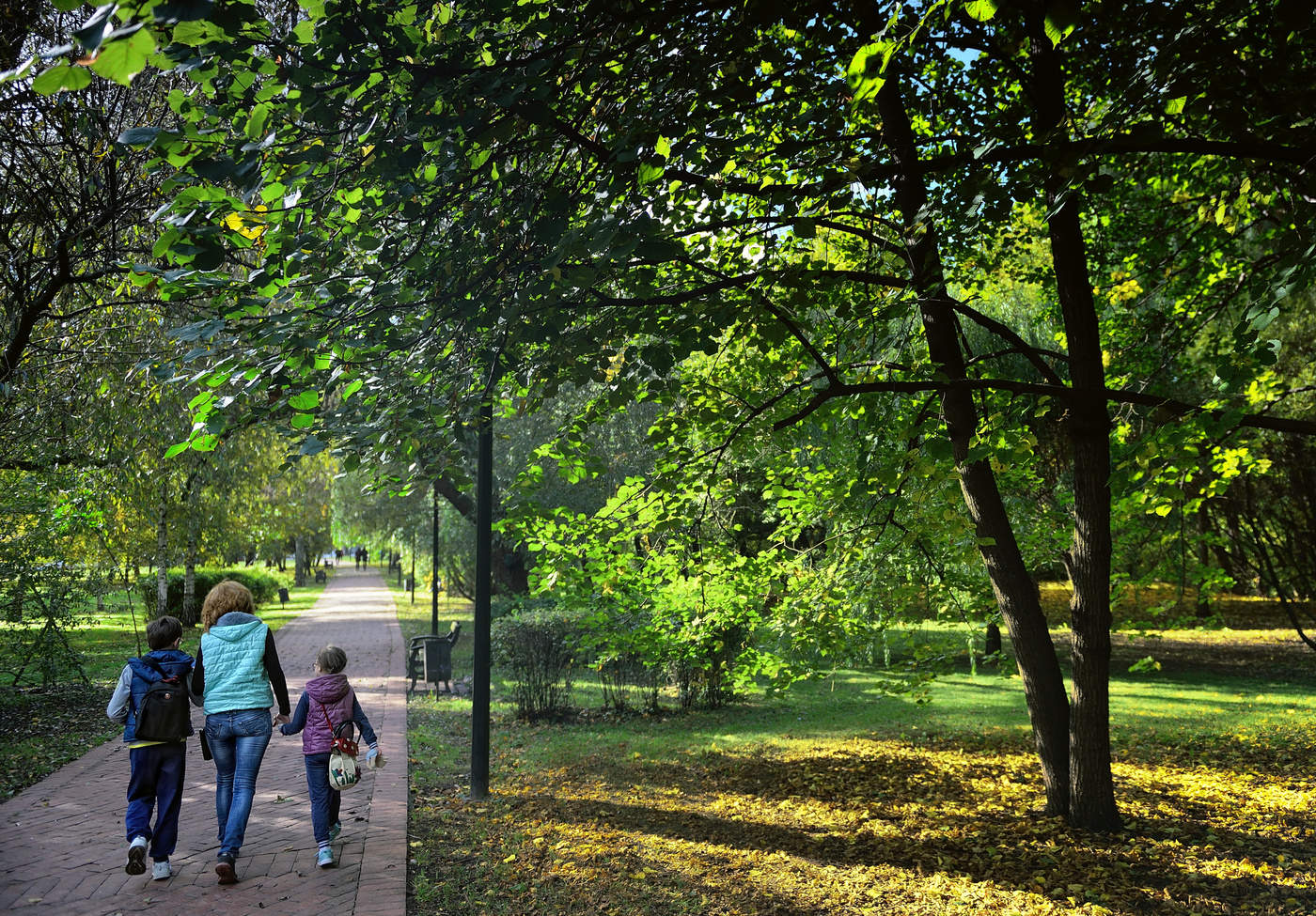 Осень на Воробьевых горах