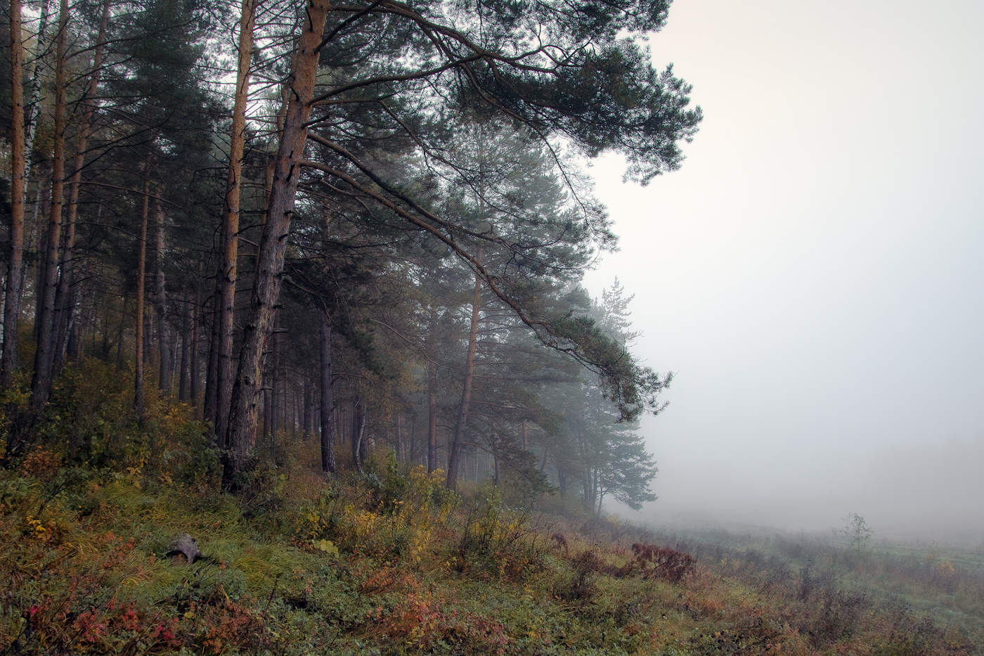 Осень -пора туманов